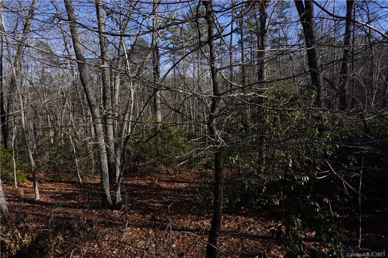 Property image 2 at 306 Ravenswood Drive, Marion, NC 28752
