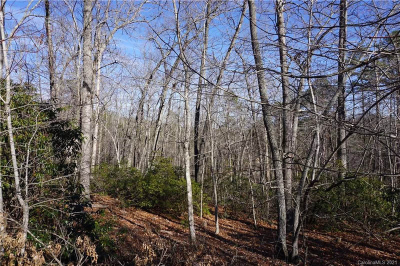 Property image 3 at 306 Ravenswood Drive, Marion, NC 28752