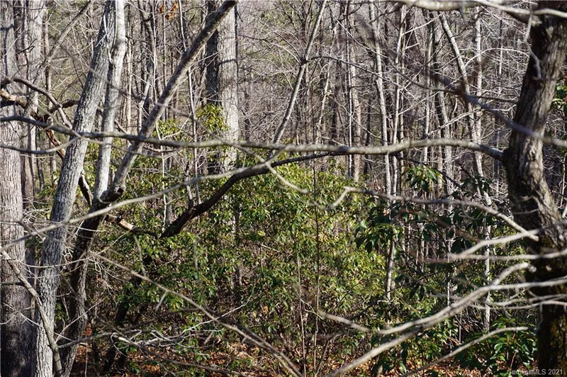 Property image 4 at 306 Ravenswood Drive, Marion, NC 28752