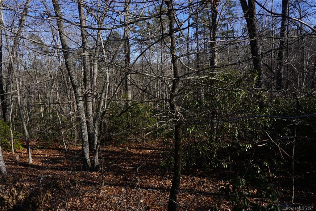 Property image 2 of 306 Ravenswood Drive in Forest Heights, Marion, NC 28752