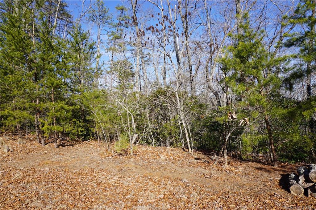 Property image 5 of 306 Ravenswood Drive in Forest Heights, Marion, NC 28752