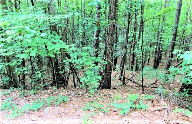 Property image 2 of 13 Chasewood Drive in Deer Run at Lake Lure, Rutherfordton, NC 28139