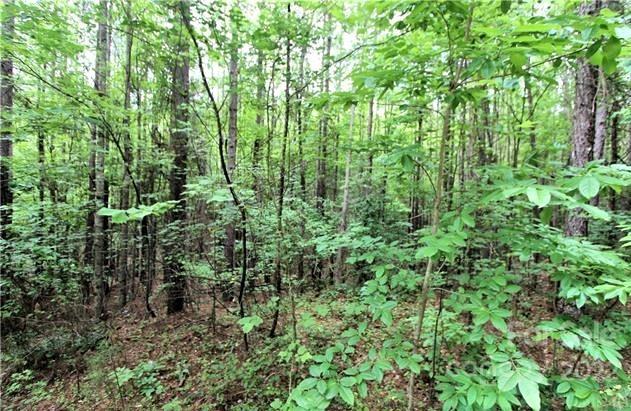 Property image 4 of 13 Chasewood Drive in Deer Run at Lake Lure, Rutherfordton, NC 28139