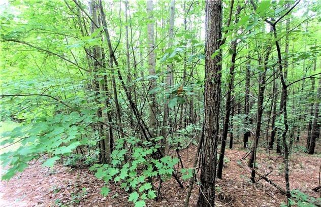Property image 5 of 13 Chasewood Drive in Deer Run at Lake Lure, Rutherfordton, NC 28139