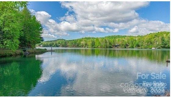 Property image 4 of Tbd Tinequa Drive in Connestee Falls, Brevard, NC 28712