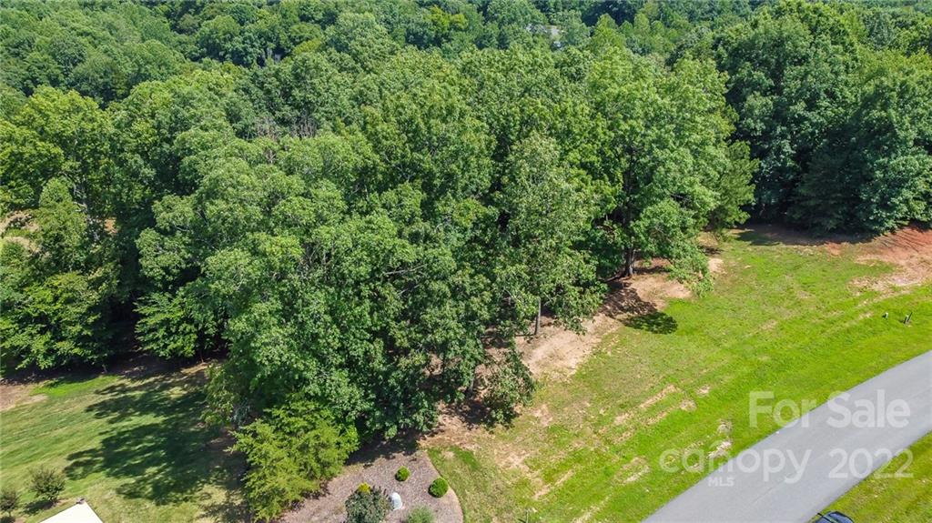 Property image 3 of 231 Harbor Ridge in Harbor Watch, Statesville, NC 28677