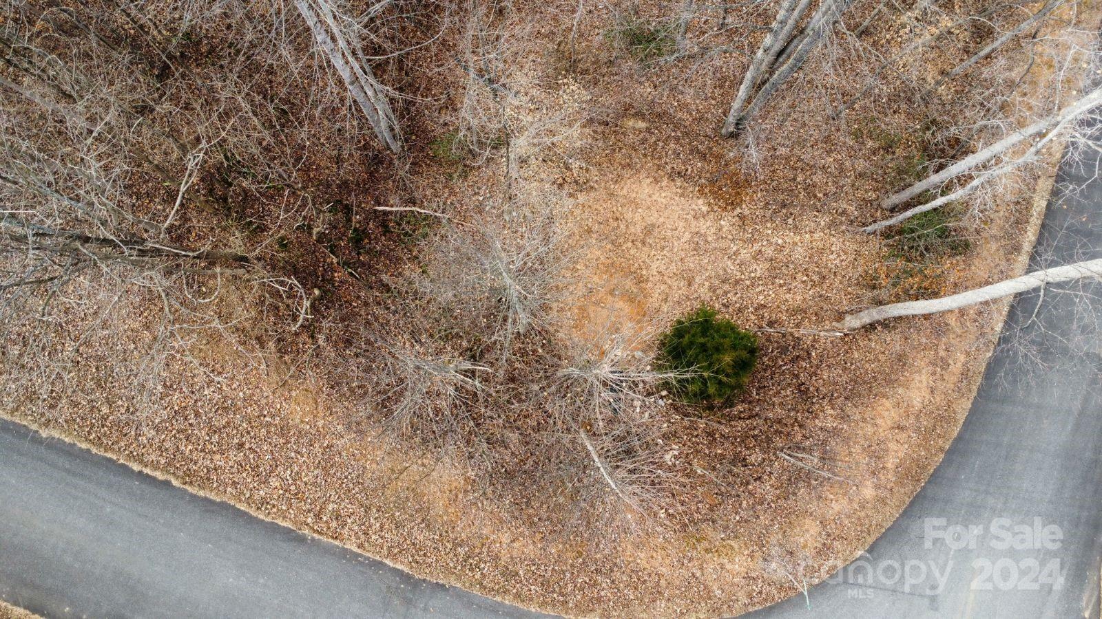 Property image 2 of Lot 73 Black Lark Drive in Forest Heights, Marion, NC 28752