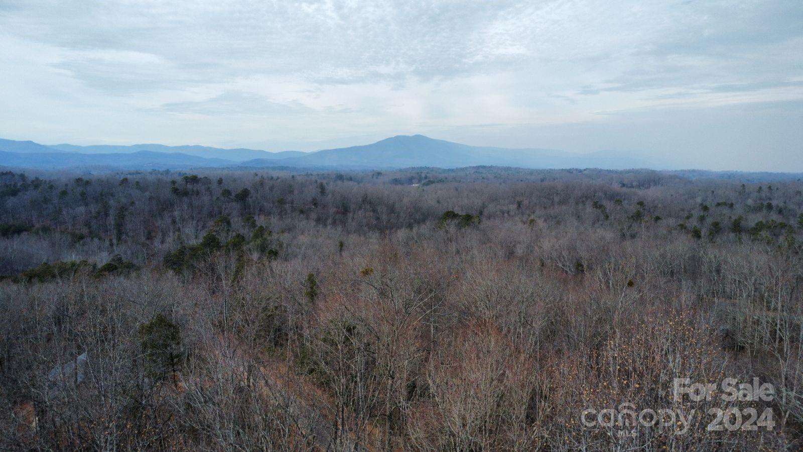 Property image 3 of Lot 73 Black Lark Drive in Forest Heights, Marion, NC 28752