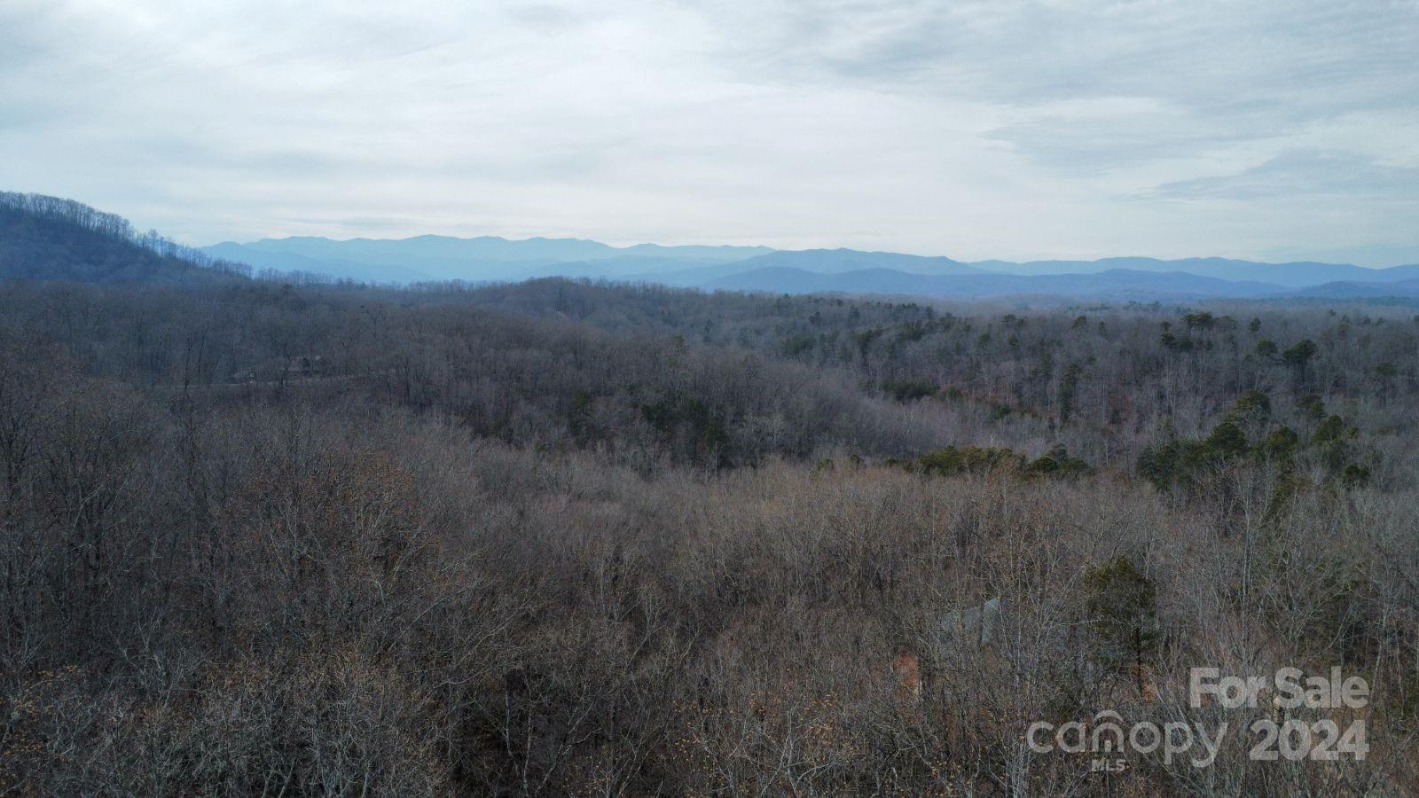 Property image 4 of Lot 73 Black Lark Drive in Forest Heights, Marion, NC 28752
