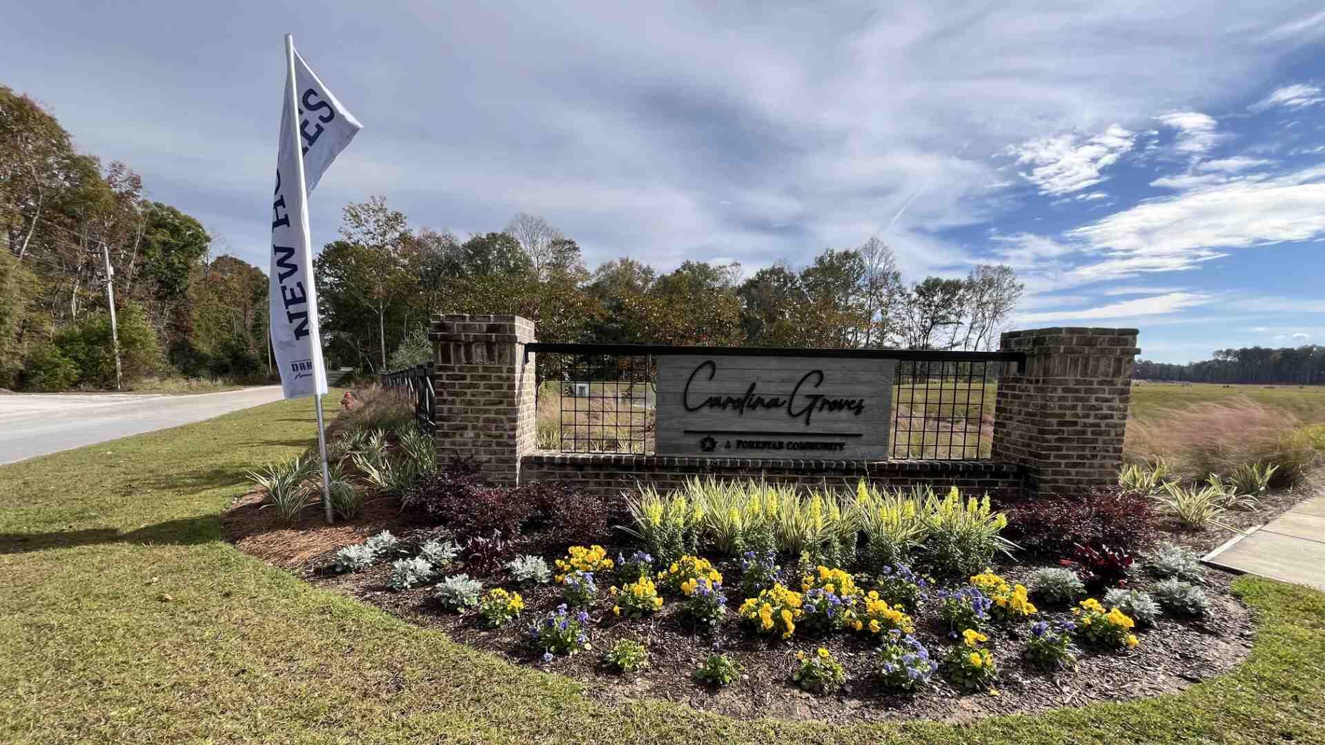 Property image 2 of 421 Mistflower Lane in Carolina Groves, Moncks Corner, SC 29461