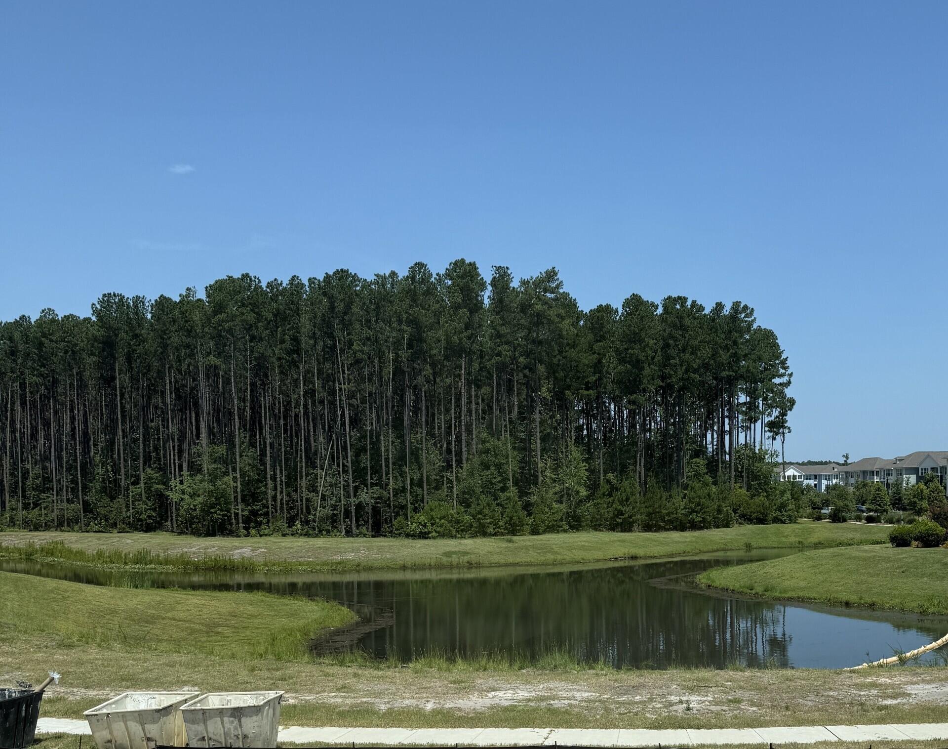 Property image 4 of 230 Somerset Acres Drive in Nexton, Summerville, SC 29486