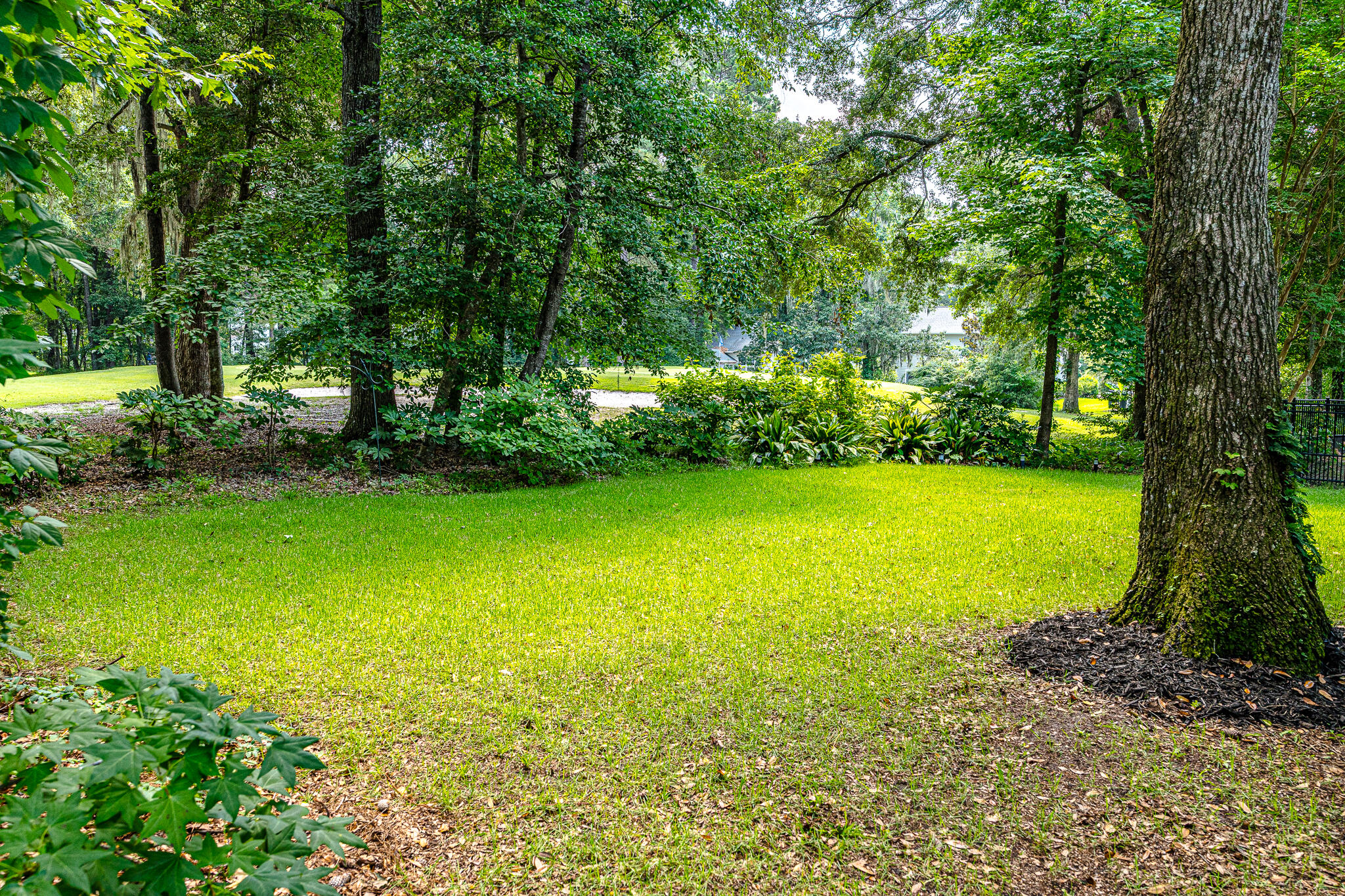 Property image 4 of 808 Long Drive Road in Legend Oaks Plantation, Summerville, SC 29485