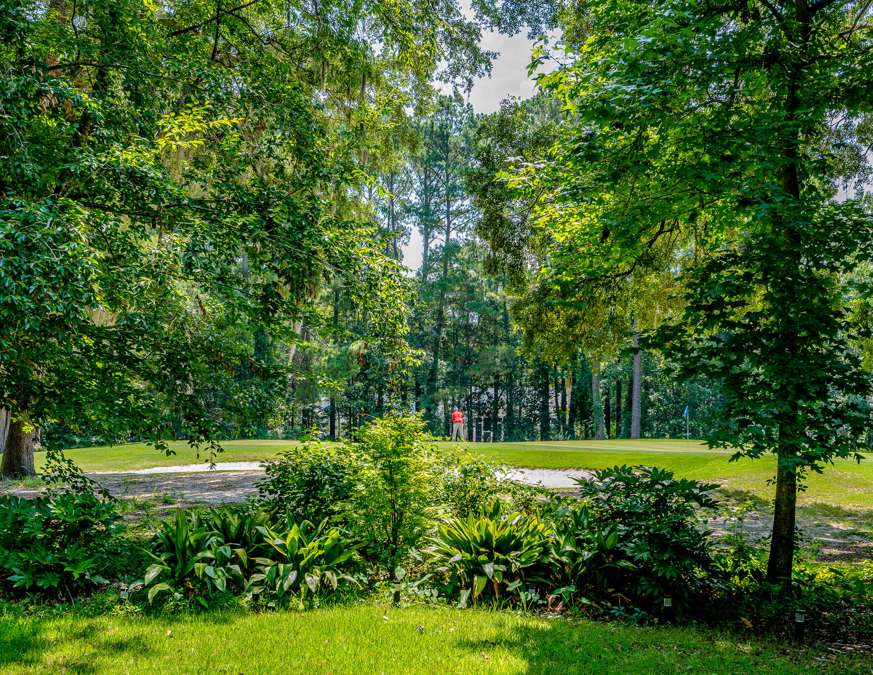 Property image 5 of 808 Long Drive Road in Legend Oaks Plantation, Summerville, SC 29485