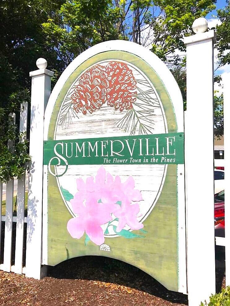 Property image 3 of 217 Seele Street in Founders Corner, Summerville, SC 29485