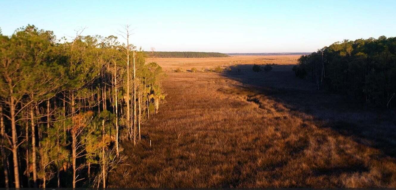 Property image 4 of 1461 Jeremy Cay Court Lot 110 in Paradise Island, Awendaw, SC 29429