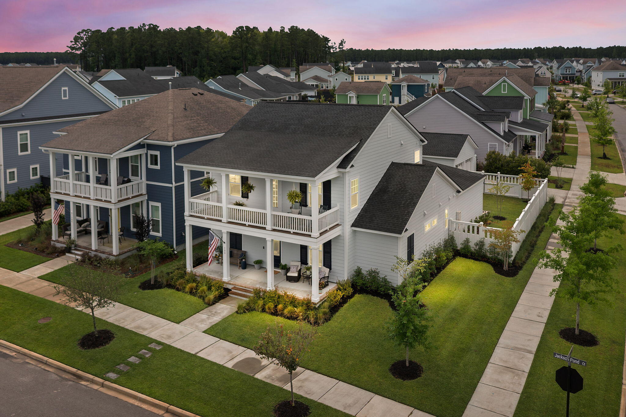 Property image 2 of 108 Jackson Pond Court in Nexton, Summerville, SC 29486