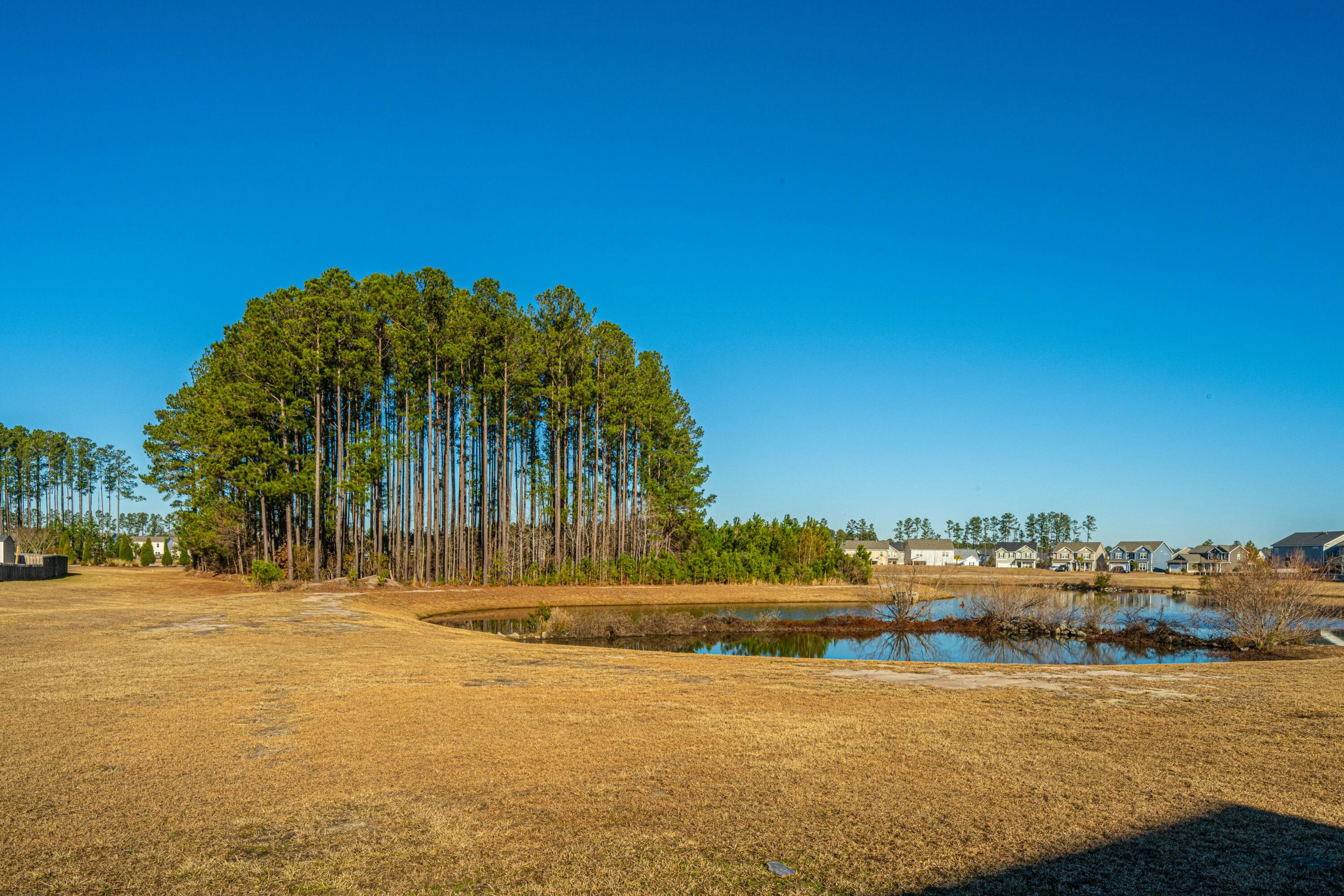 Property image 2 of 394 Sanctuary Park Drive in Cane Bay Plantation, Summerville, SC 29486