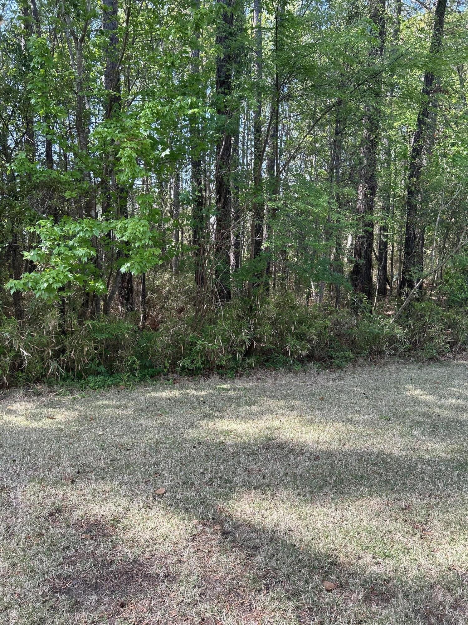 Property image 4 of 1300 Park West Boulevard 516 in Park West, Mount Pleasant, SC 29466
