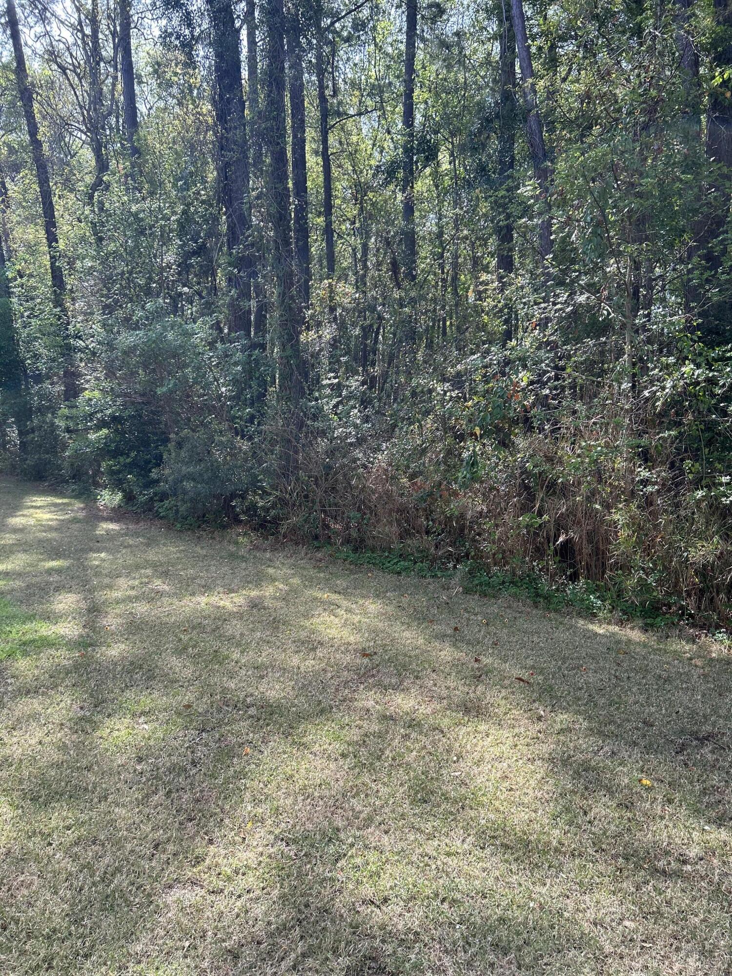 Property image 5 of 1300 Park West Boulevard 516 in Park West, Mount Pleasant, SC 29466