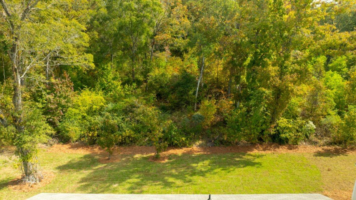 Property image 2 of 373 Willows Crescent Drive in Lakeview at Kitfield, Moncks Corner, SC 29461