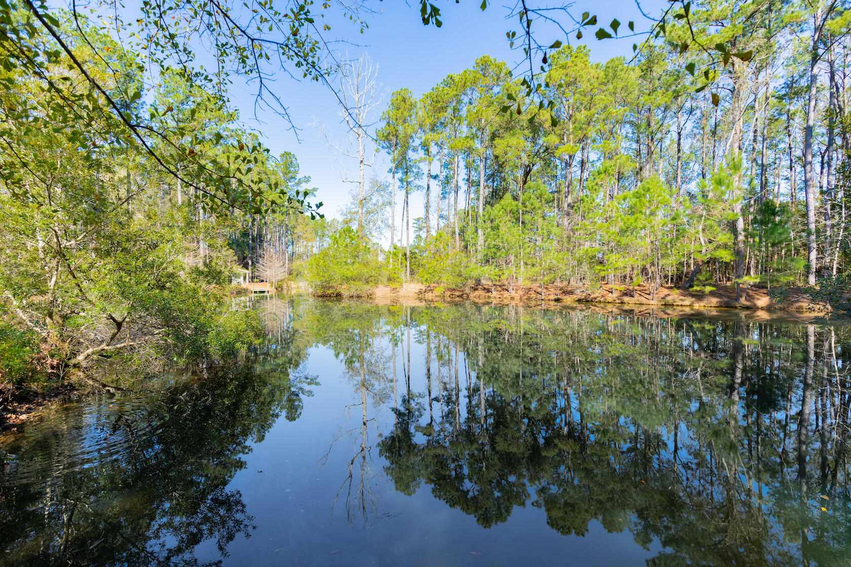 Property image 5 of 1515 John Fenwick Lane in The Preserve at Fenwick Plantation, Johns Island, SC 29455