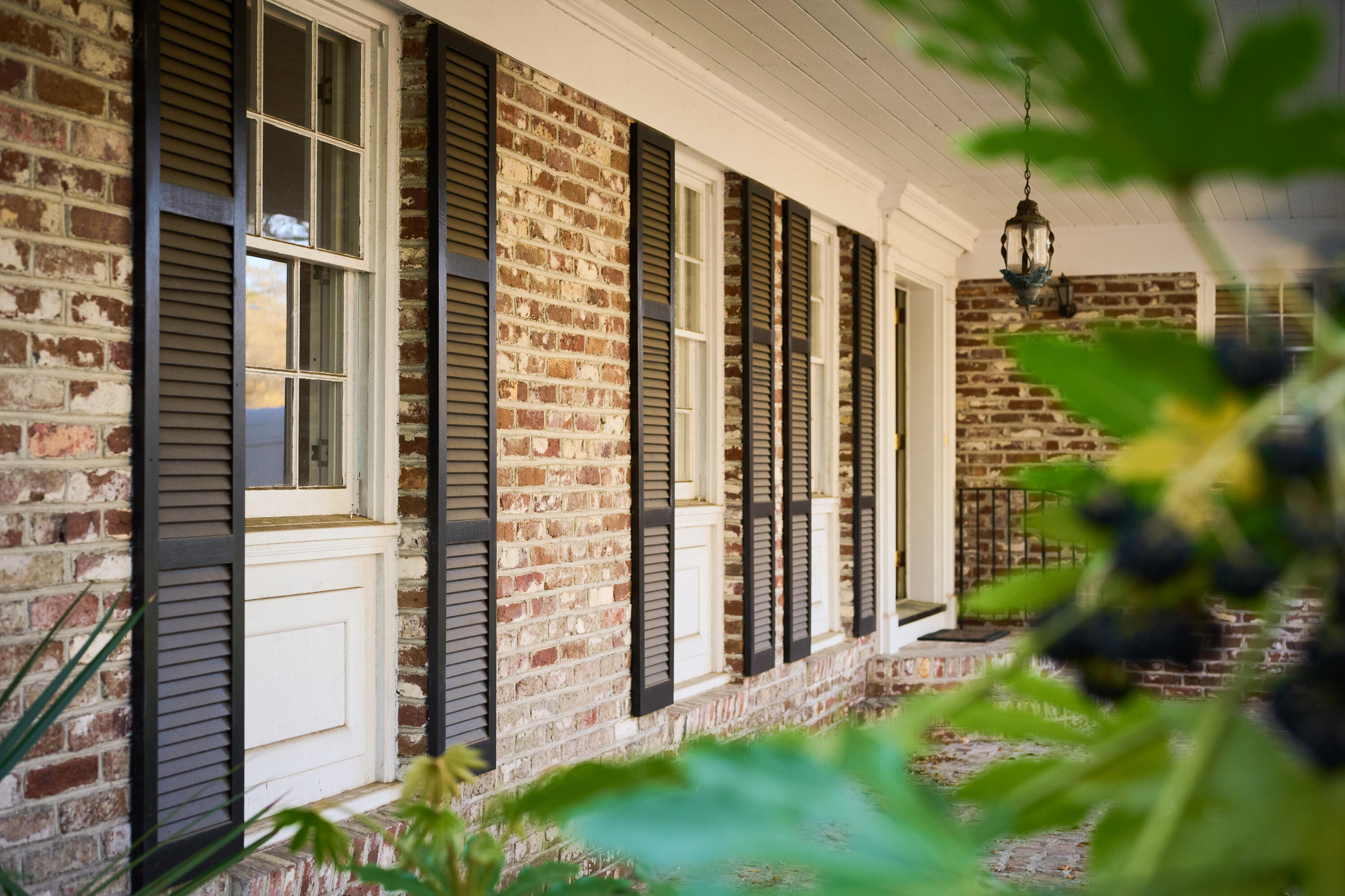 Property image 2 of 731 Pitt Street in Old Village, Mount Pleasant, SC 29464