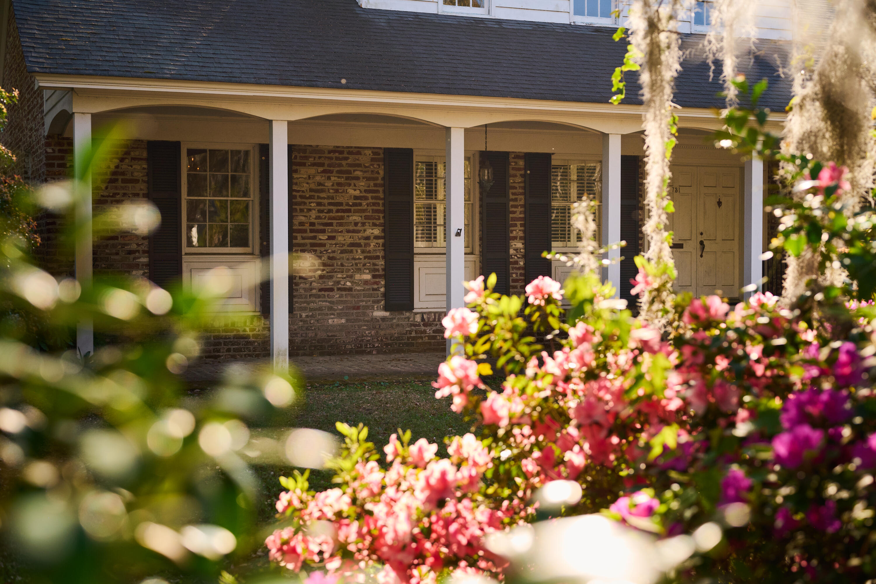 Property image 5 of 731 Pitt Street in Old Village, Mount Pleasant, SC 29464