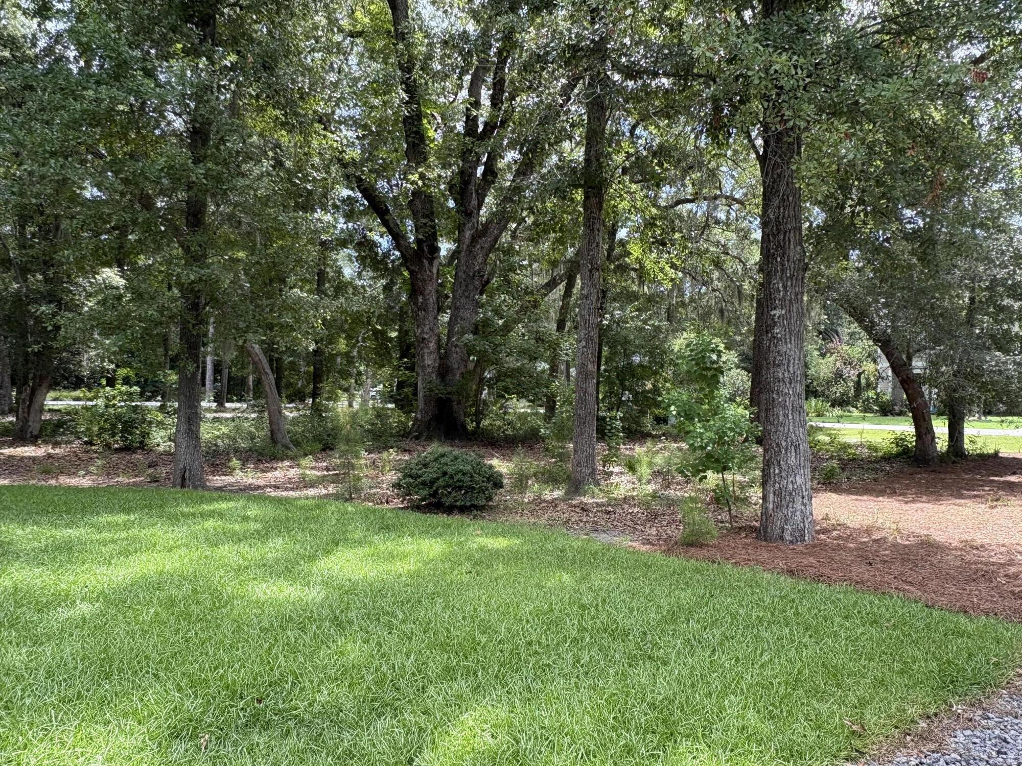 Property image 3 of 3146 Olivia Marie Lane in Waterloo Estates, Johns Island, SC 29455