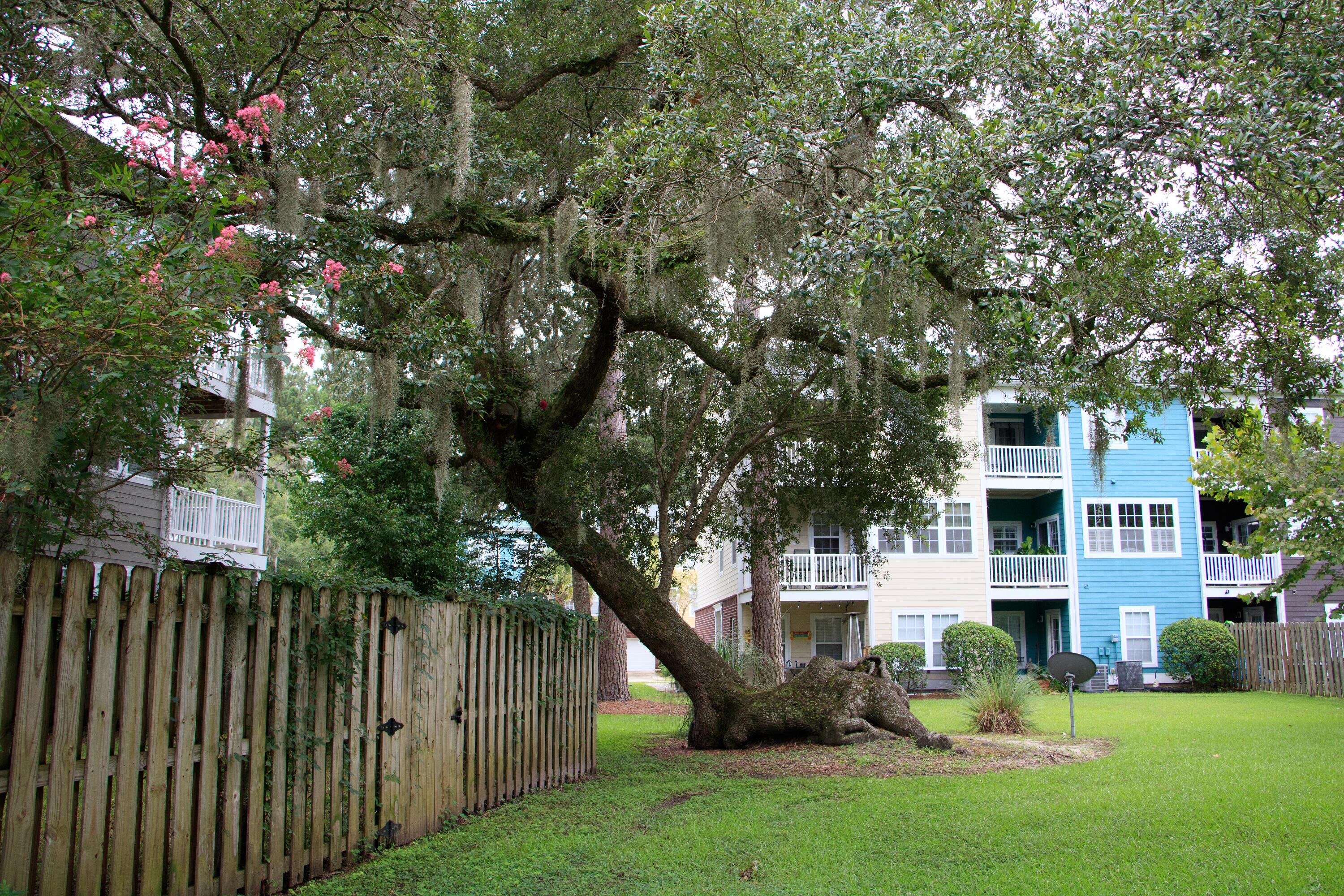 Property image 3 of 9118 Parlor Drive in Tranquil Hill Plantation, Ladson, SC 29456