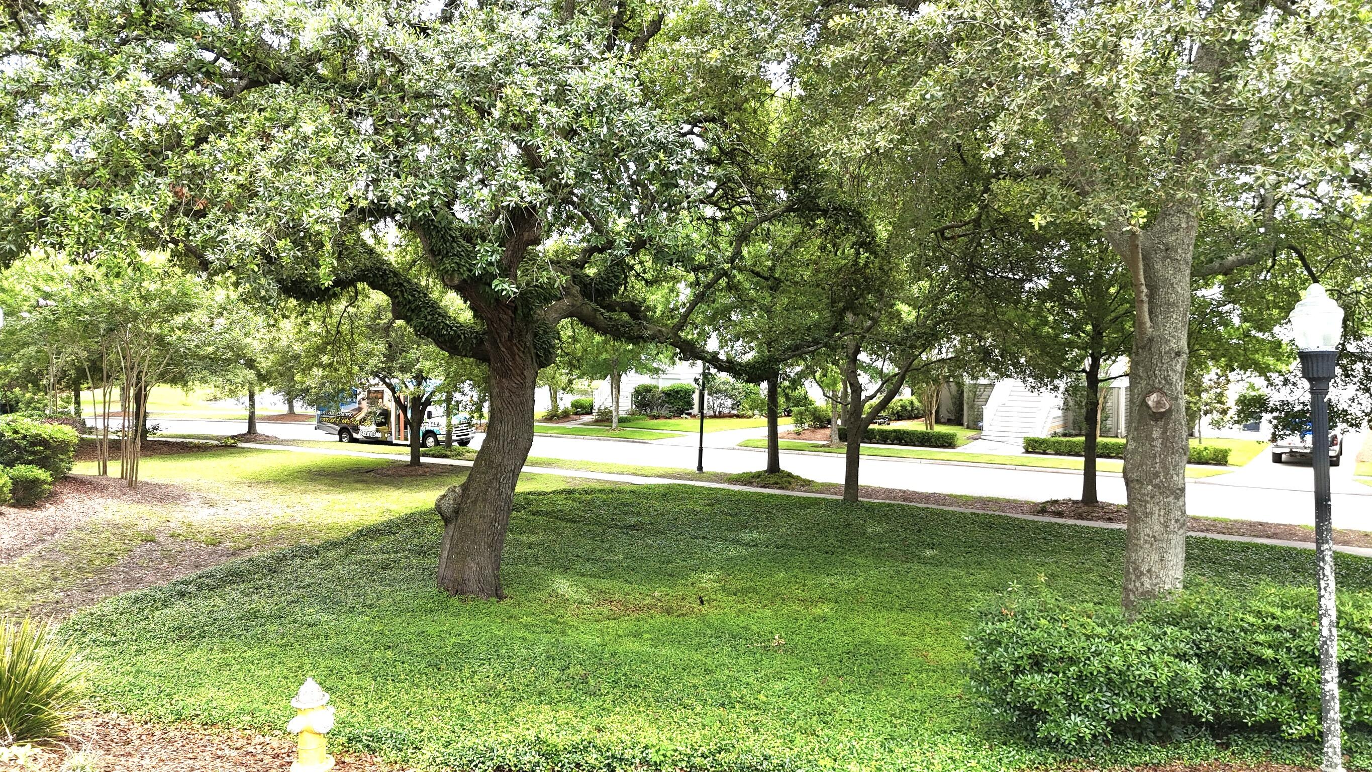 Property image 4 of 1225 Blakeway Street 906 in Parkside Hpr, Charleston, SC 29492
