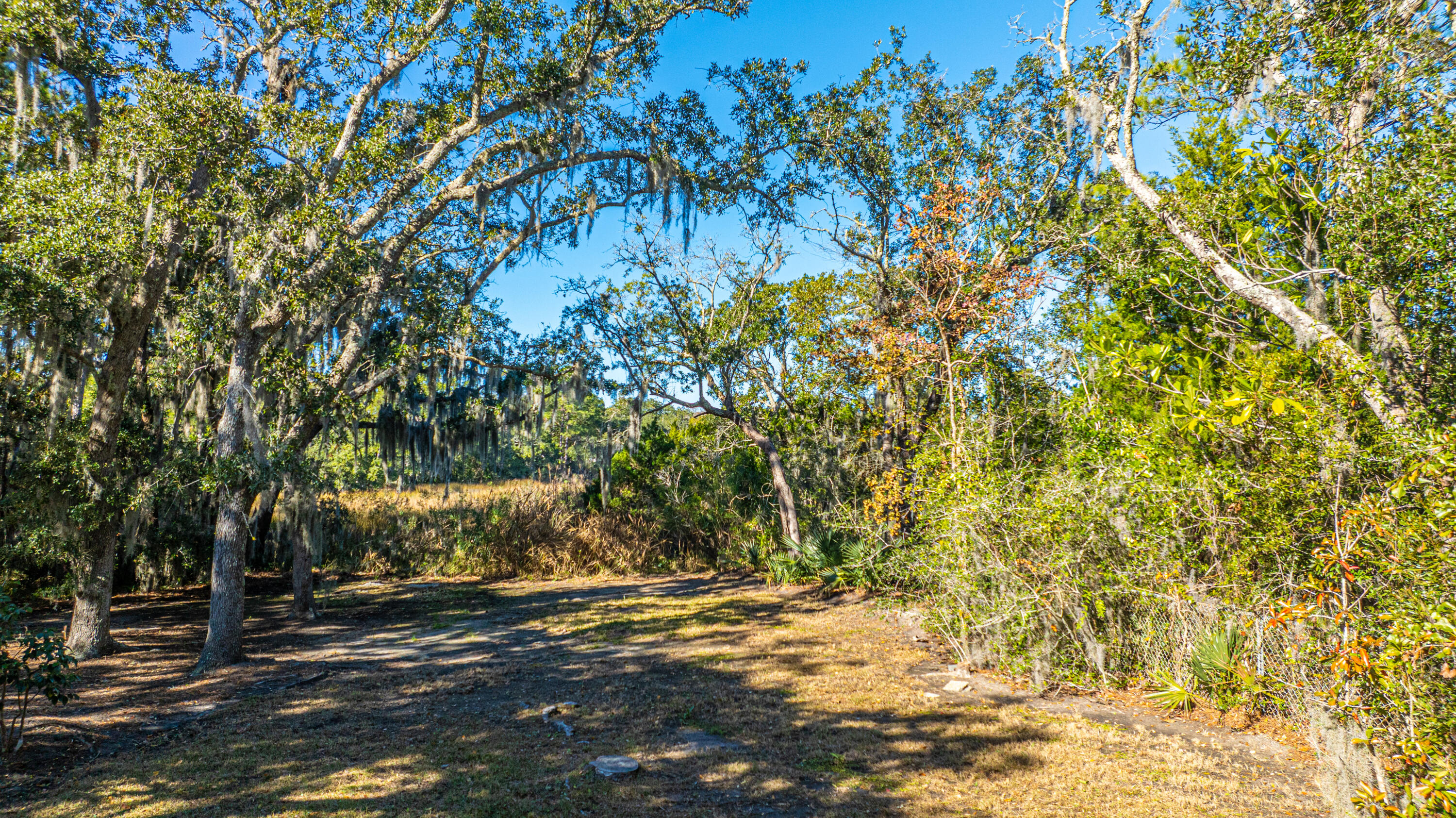 Property image 2 of 46 Chadwick Drive in South Windermere, Charleston, SC 29407
