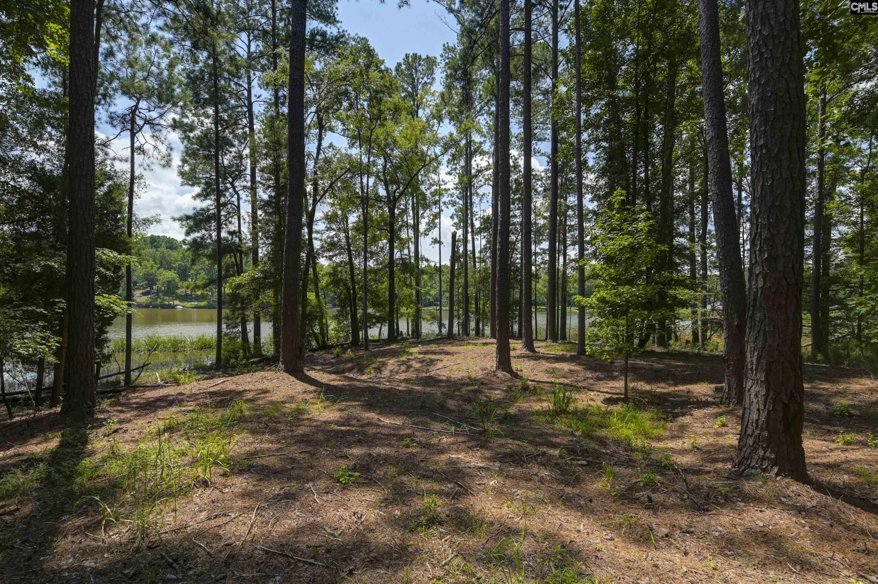 Property image 4 of Tbd Retreat Way in Lake Wateree, Ridgeway, SC 29130-0000