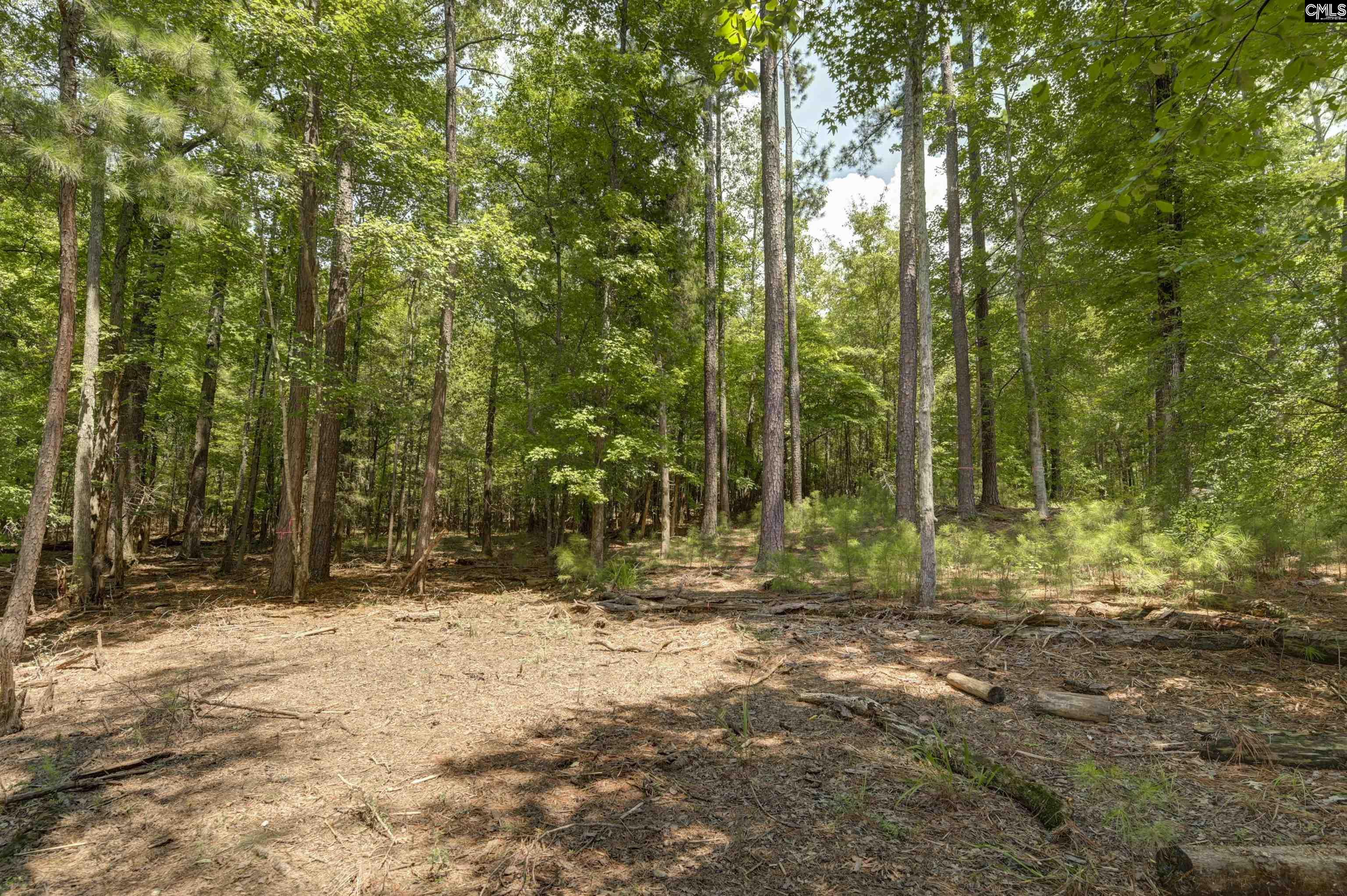 Property image 5 of Tbd Retreat Way in Lake Wateree, Ridgeway, SC 29130-0000