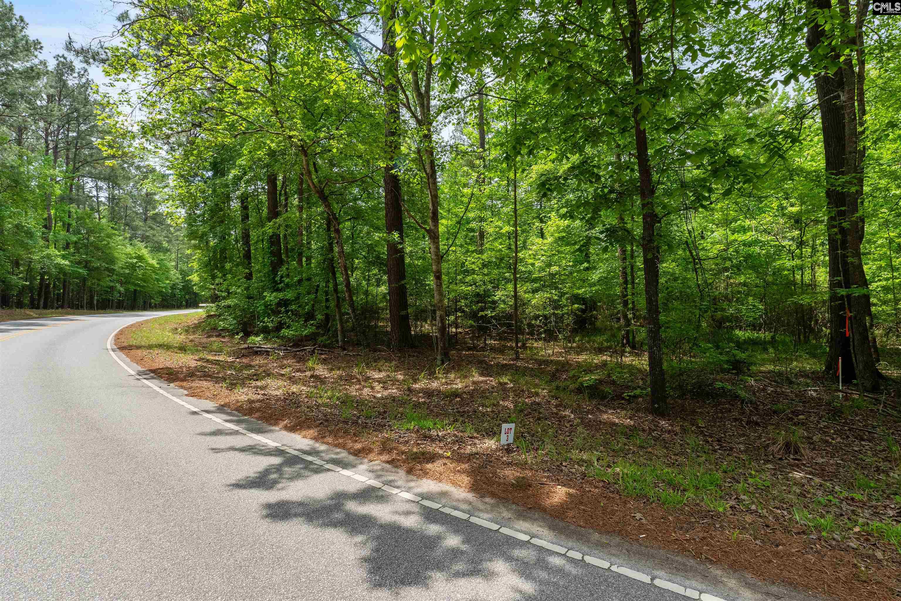 Property image 3 of 1427 3 Buck Hill Landing Road Lot 3 in Lake Wateree, Ridgeway, SC 29130