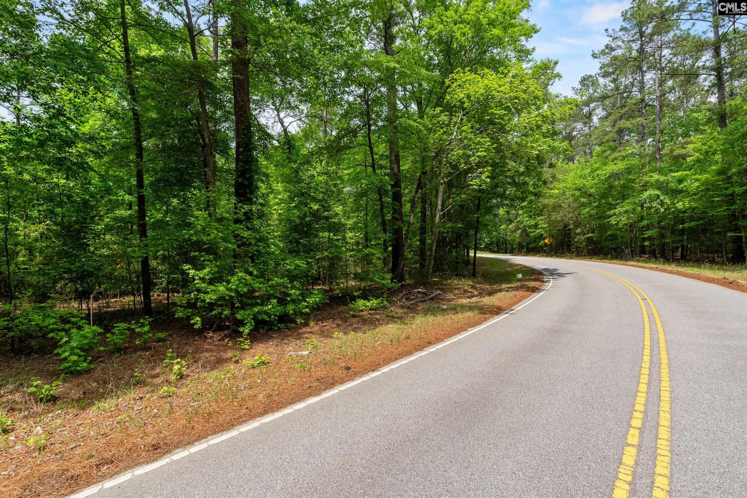 Property image 5 of 1427 3 Buck Hill Landing Road Lot 3 in Lake Wateree, Ridgeway, SC 29130