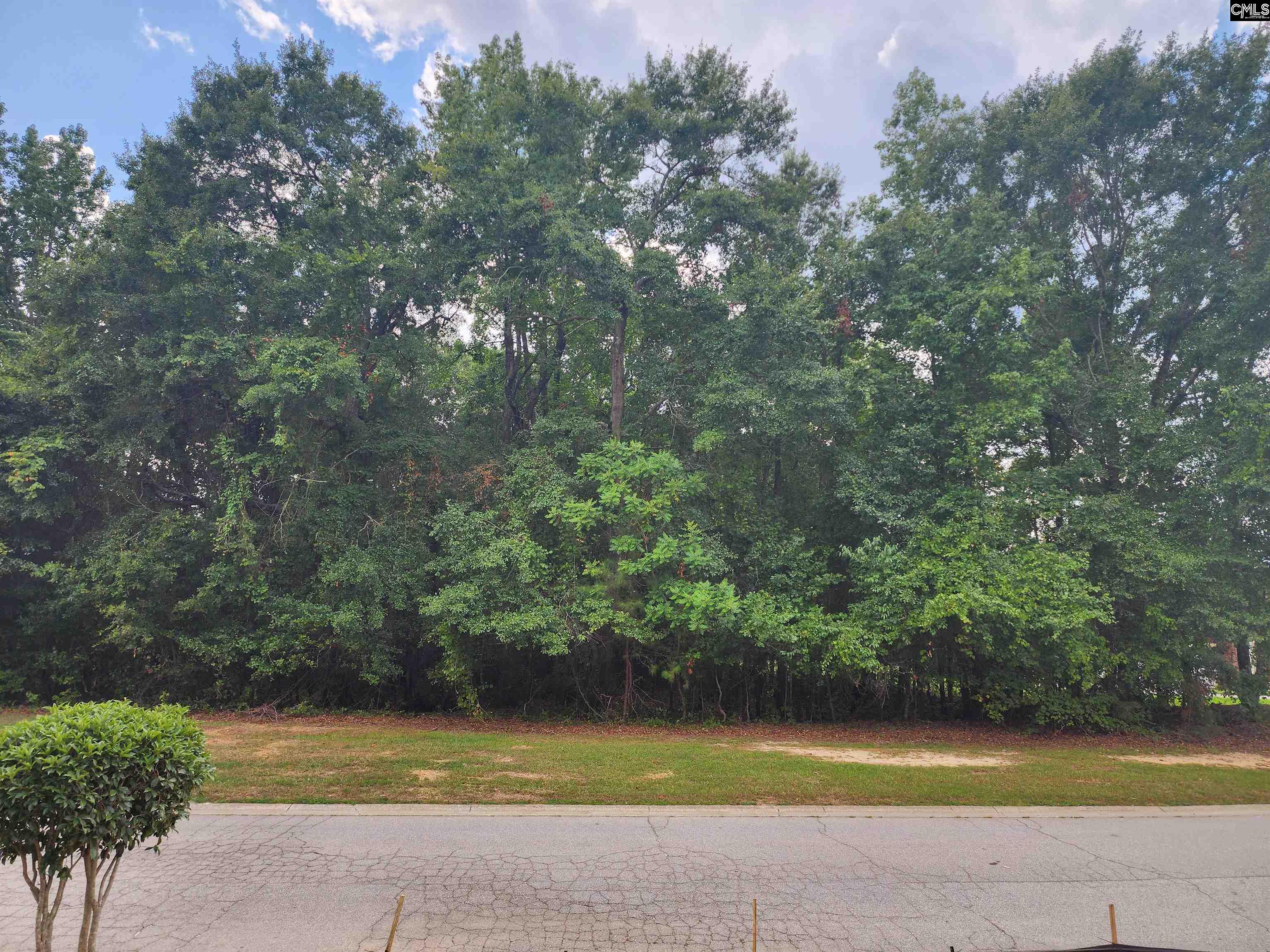 Property image 3 of 119 Hastings Point Drive in Hastings Point, Columbia, SC 29203
