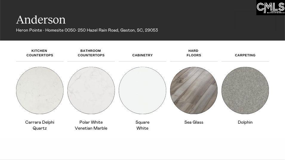 Property image 4 of 250 Hazel Rain Road in Heron Pointe, Gaston, SC 29053