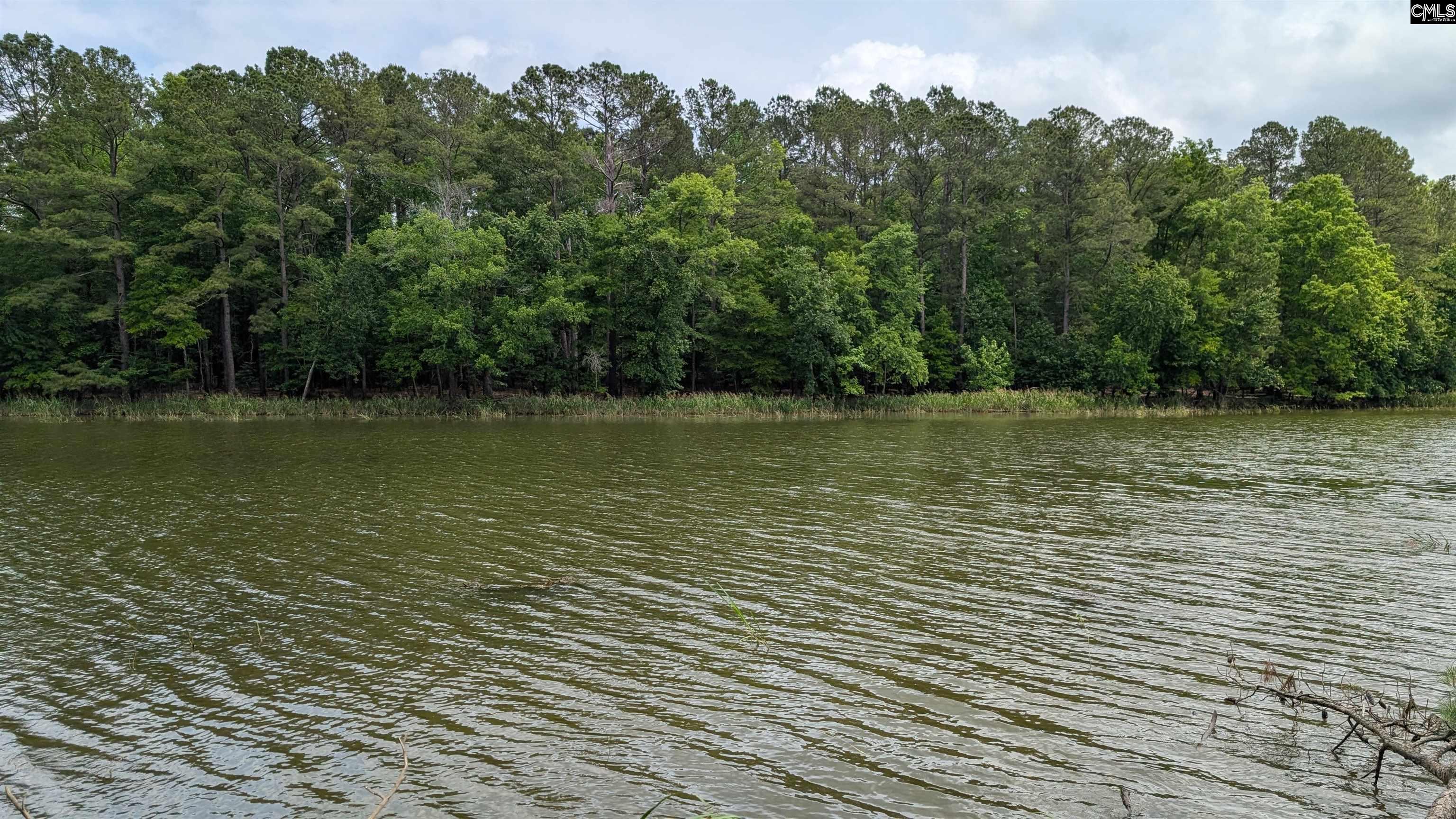 Property image 2 of Lot 83 Retreat Way in Lake Wateree, Ridgeway, SC 29130-0000