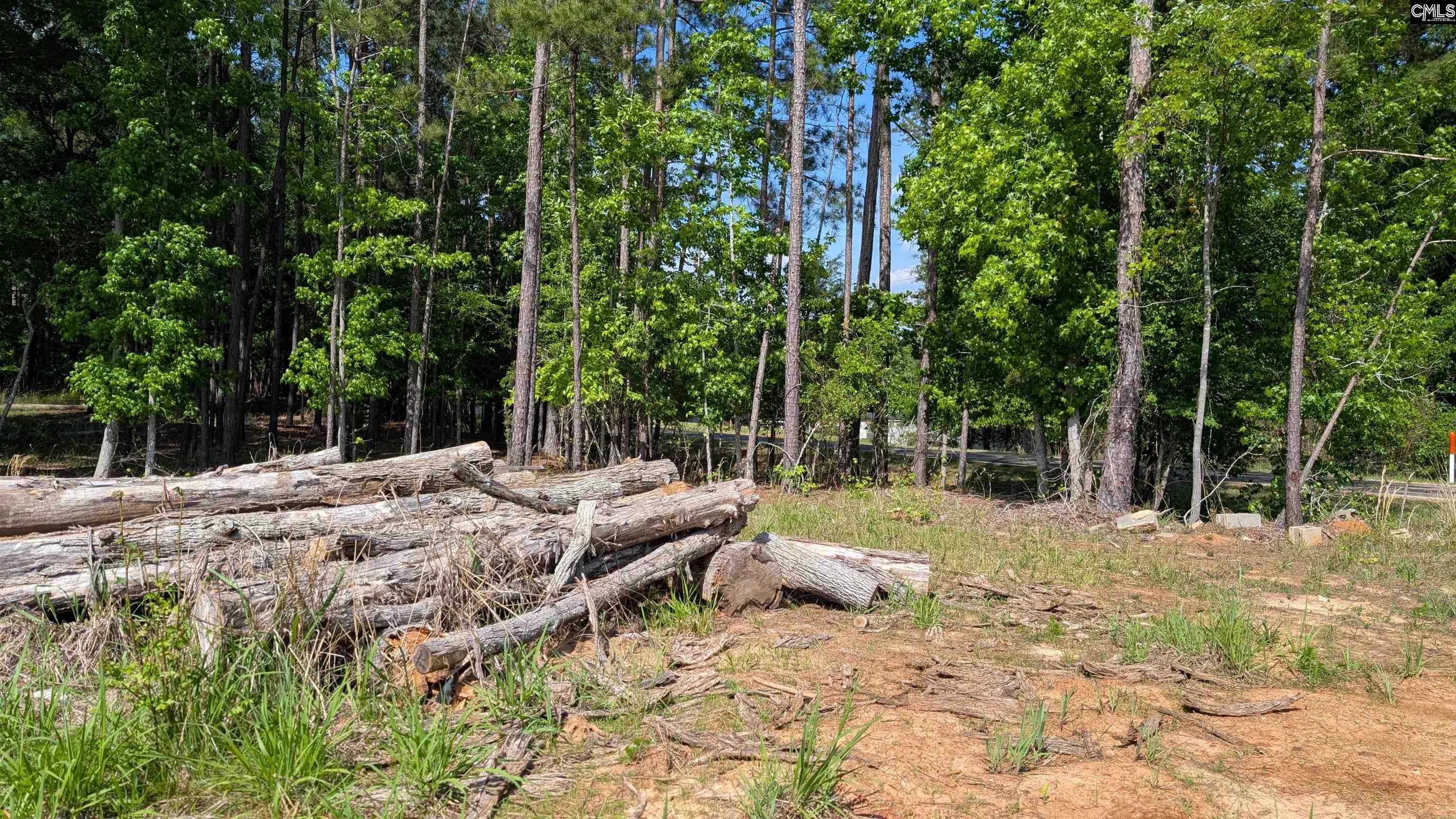 Property image 2 of TBD Rolling Hills Rd in Lake Wateree, Ridgeway, SC 29130-0000