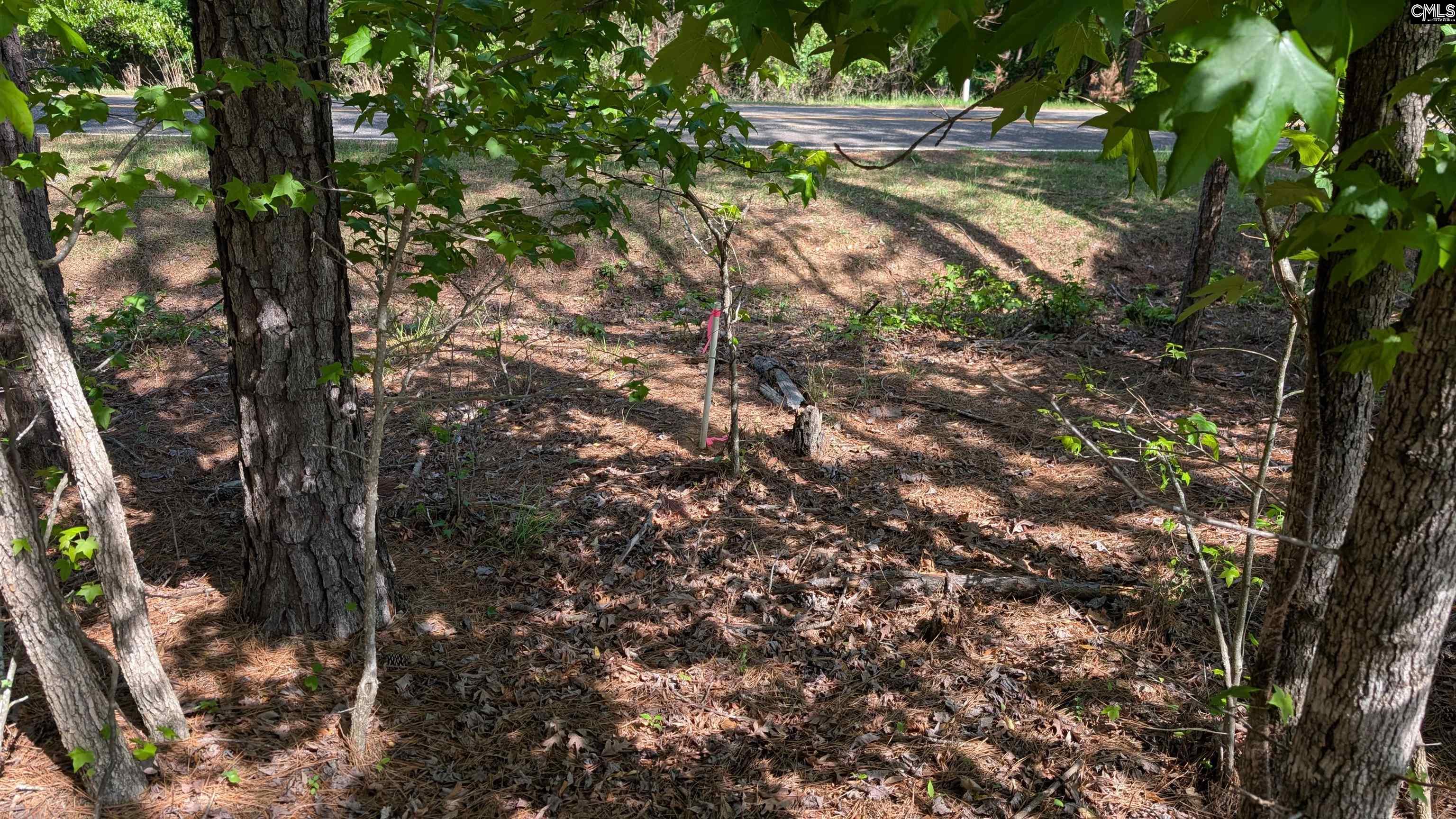 Property image 3 of TBD Rolling Hills Rd in Lake Wateree, Ridgeway, SC 29130-0000