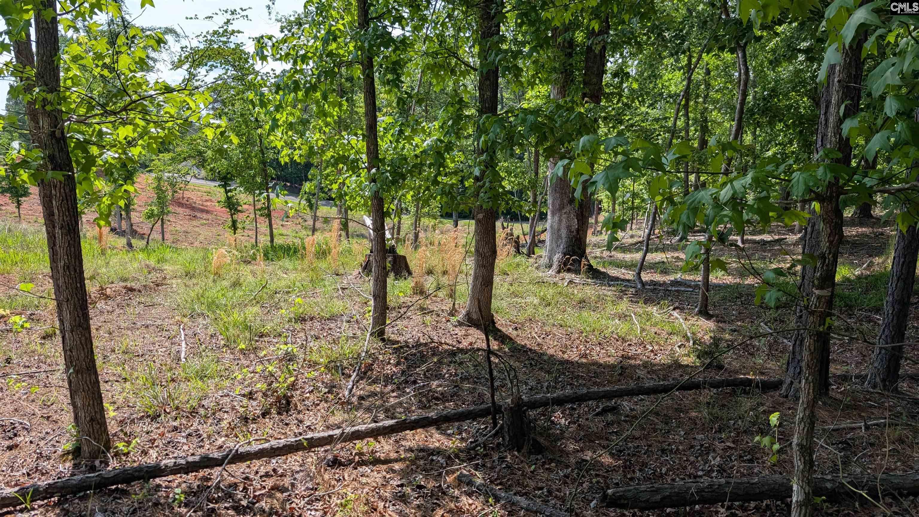 Property image 4 of TBD Rolling Hills Rd in Lake Wateree, Ridgeway, SC 29130-0000