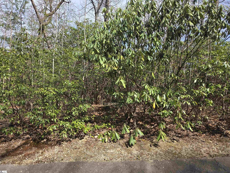 Property image 4 at 33 Cliff Ridge Drive, Cleveland, SC 29635