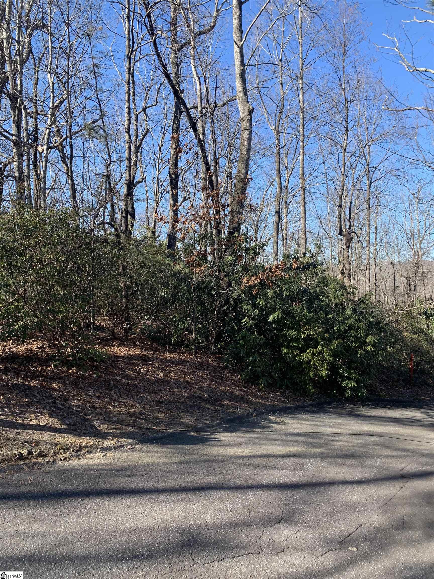 Property image 2 of 000 Cliff Ridge Drive in Cliff Ridge at Caesars Head, Cleveland, SC 29635
