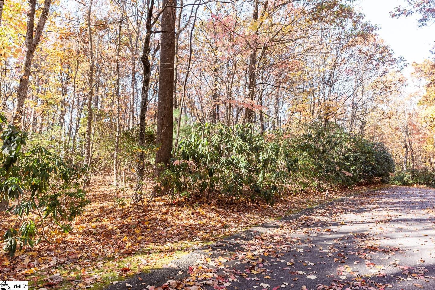 Property image 5 of 328 Cliff Ridge Drive in Cliff Ridge at Caesars Head, Cleveland, SC 29635