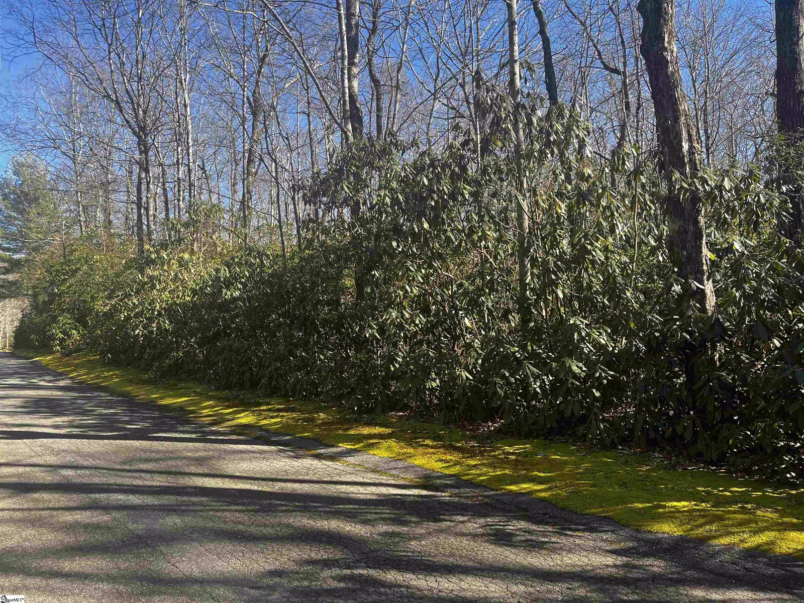 Property image 1 at 108 Hemlock Trail, Cleveland, SC 29635
