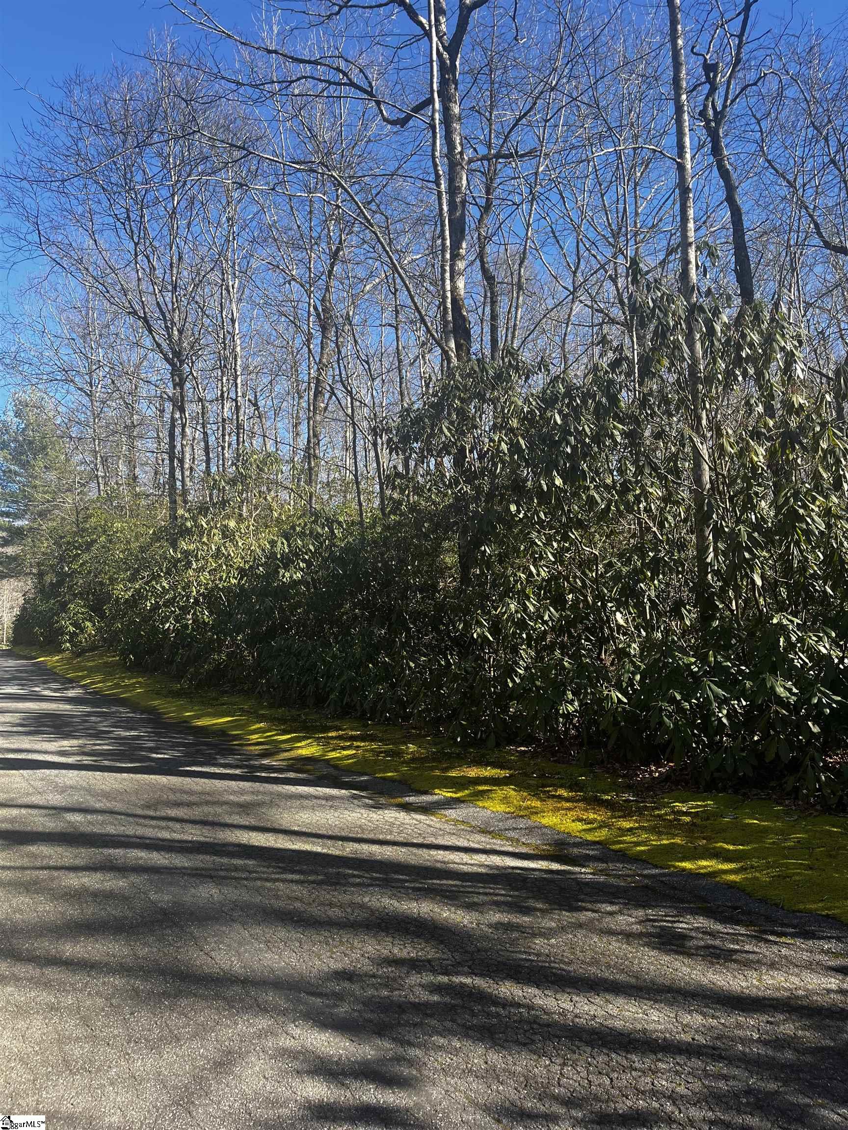 Property image 2 of 108 Hemlock Trail in Cliff Ridge at Caesars Head, Cleveland, SC 29635