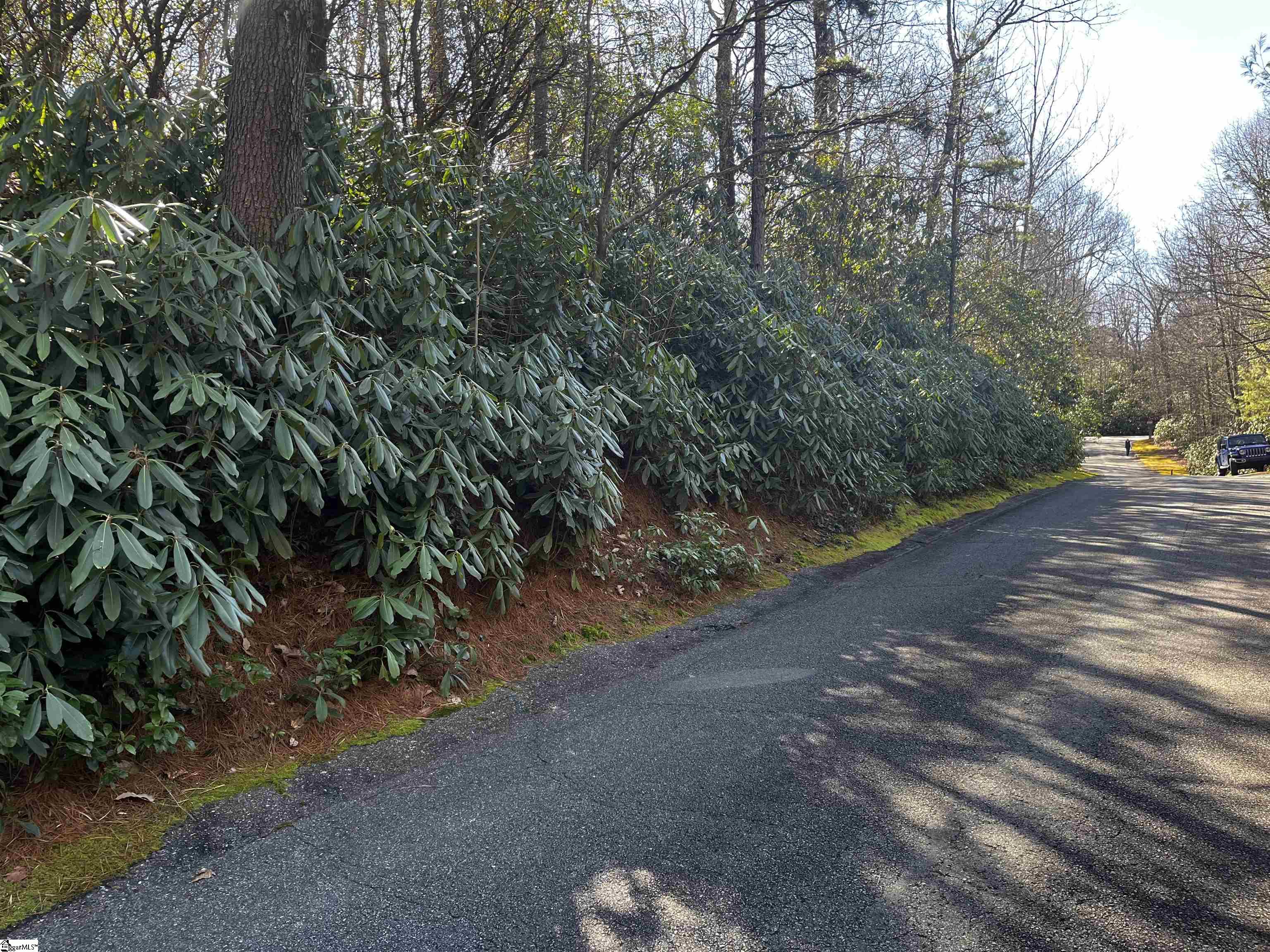 Property image 3 of 108 Hemlock Trail in Cliff Ridge at Caesars Head, Cleveland, SC 29635