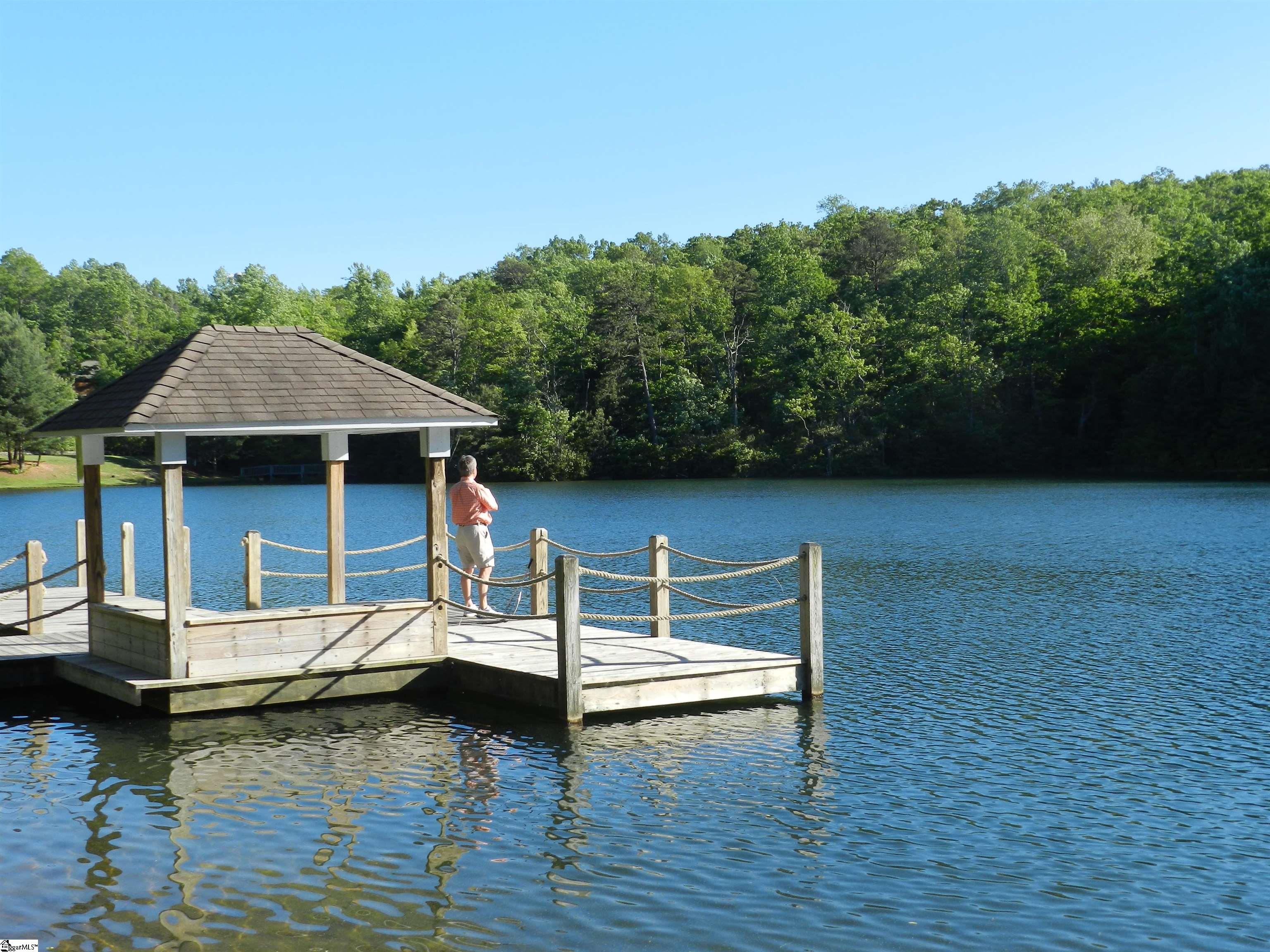 Property image 5 of 111 Columbine Way in Cliff Ridge at Caesars Head, Cleveland, SC 29635