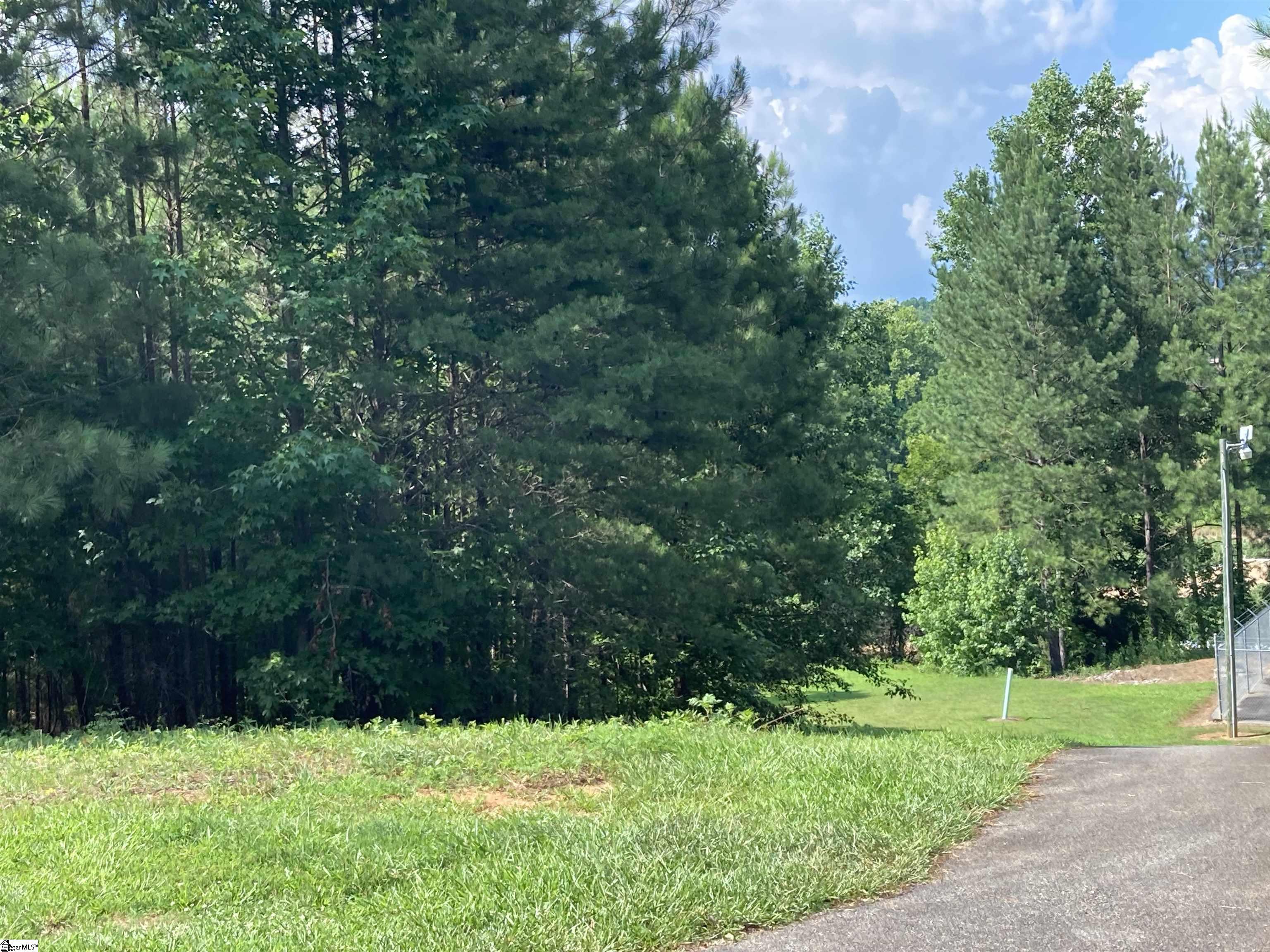 Property image 2 of 308 Wedge Way in The Summit at Cherokee Valley, Travelers Rest, SC 29690