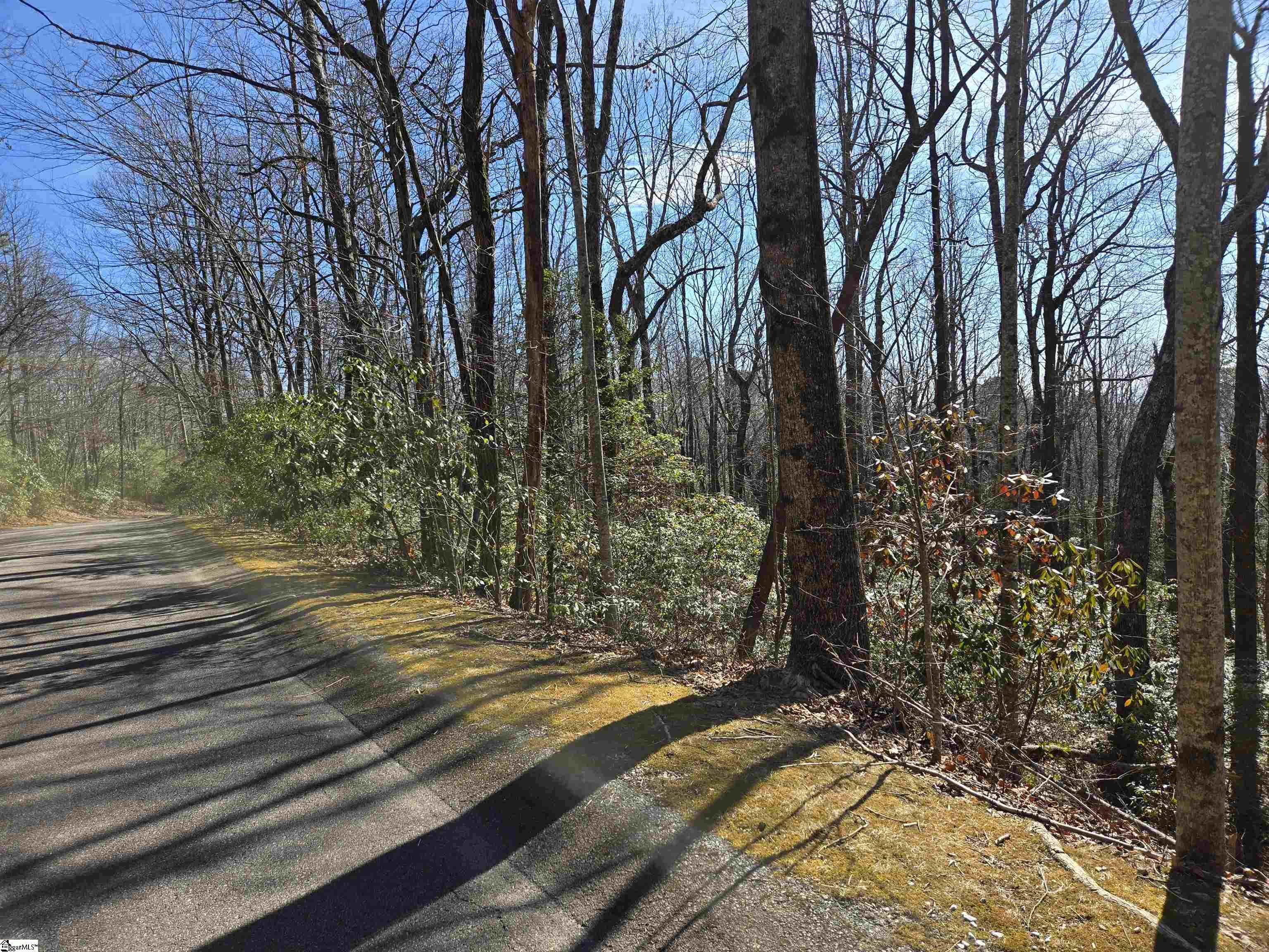 Property image 3 of 112 Birchbend in Cliff Ridge at Caesars Head, Cleveland, SC 29635